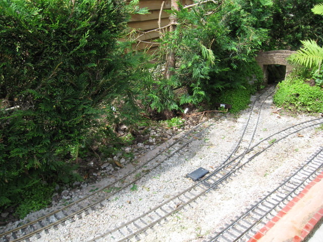 IMG_0935.JPG