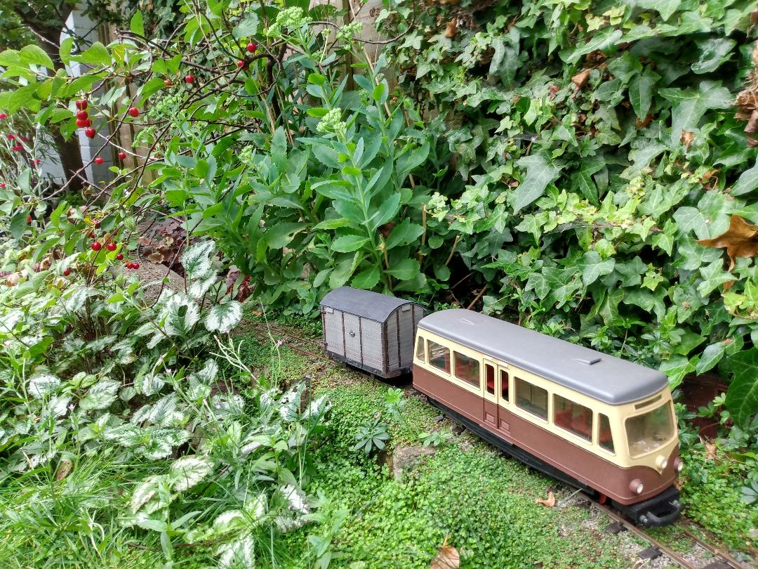 Railcar 4.jpg