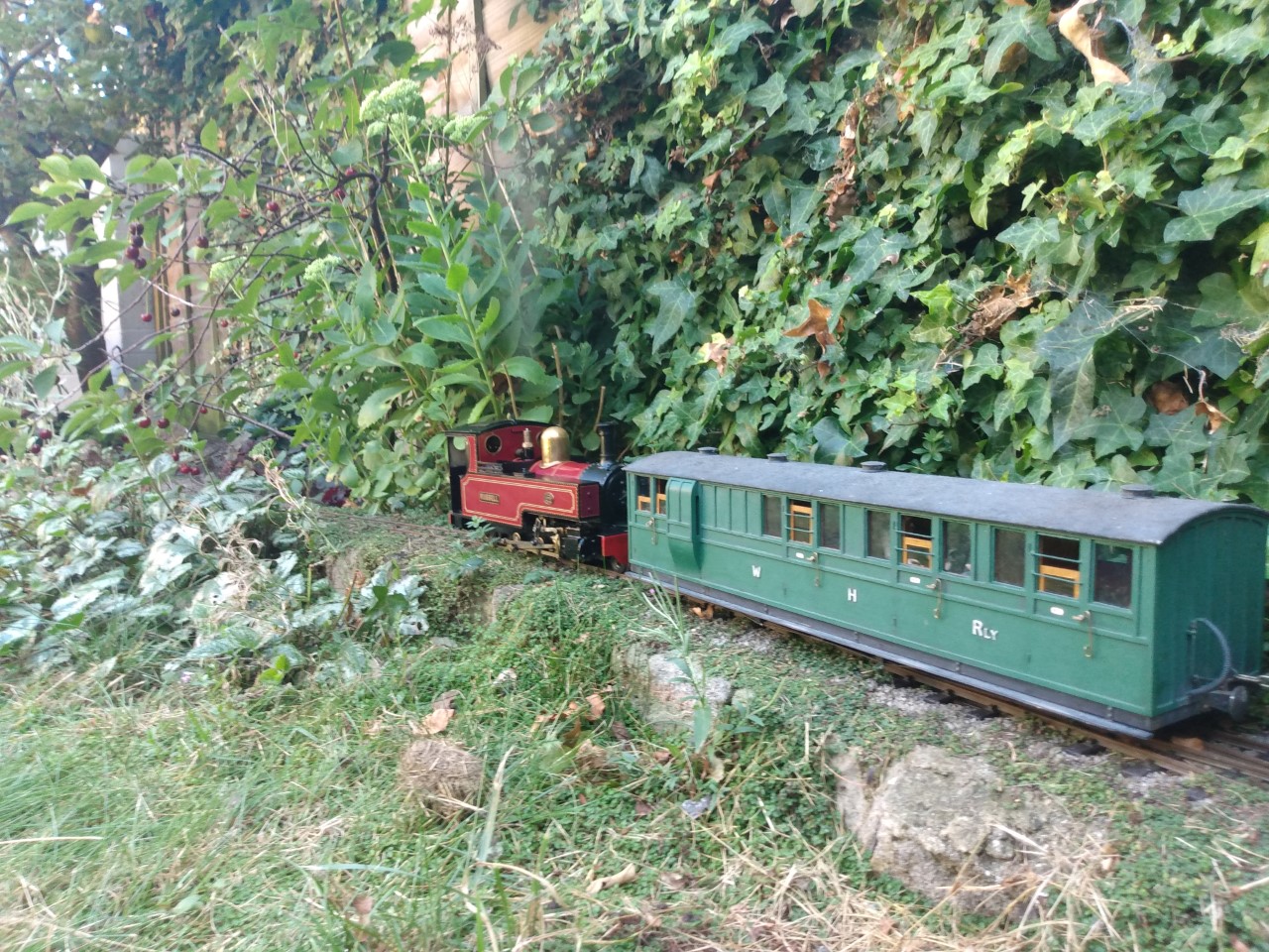 WHR 100 E.jpg