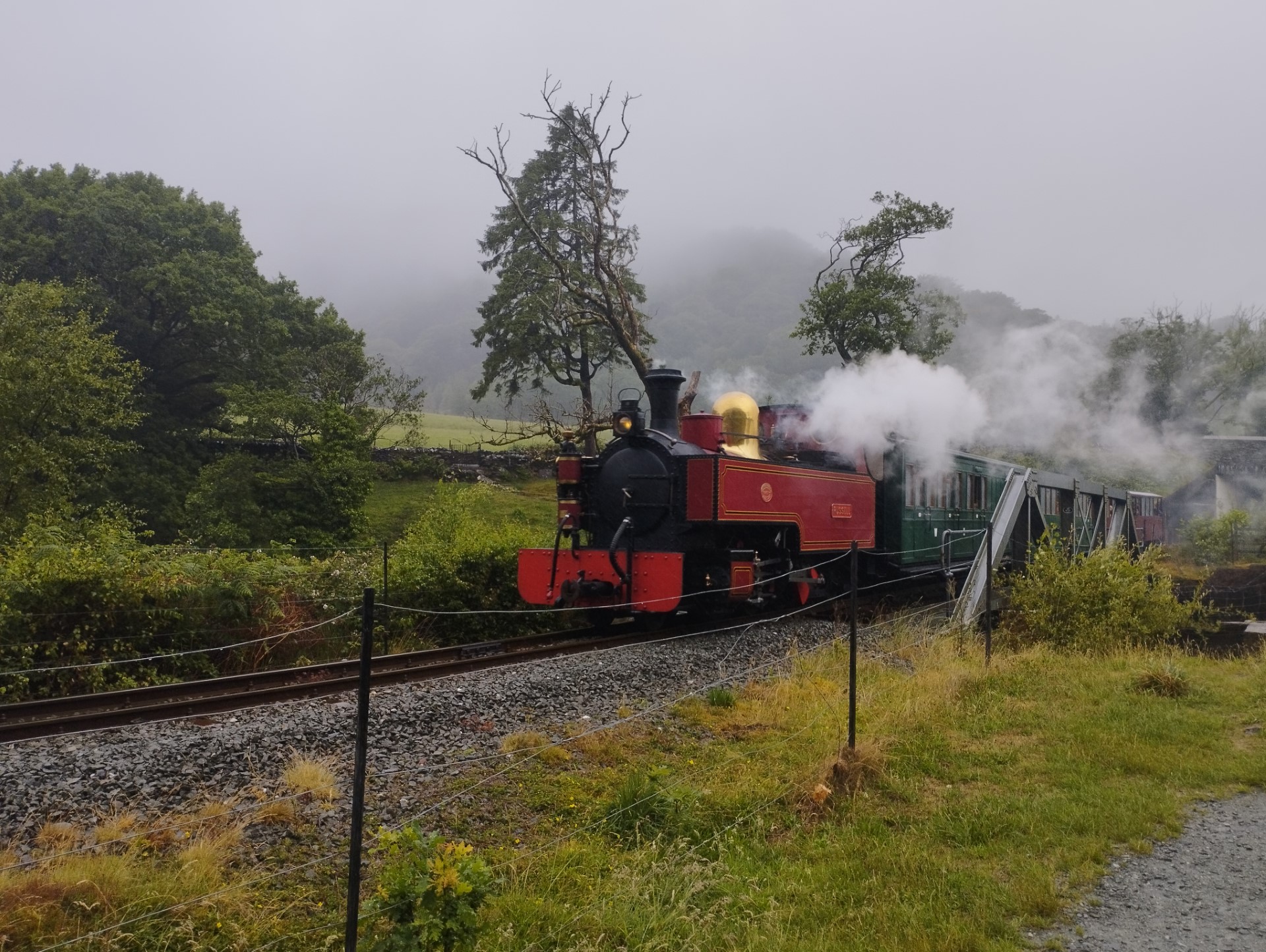 WHR gala Russell.jpg