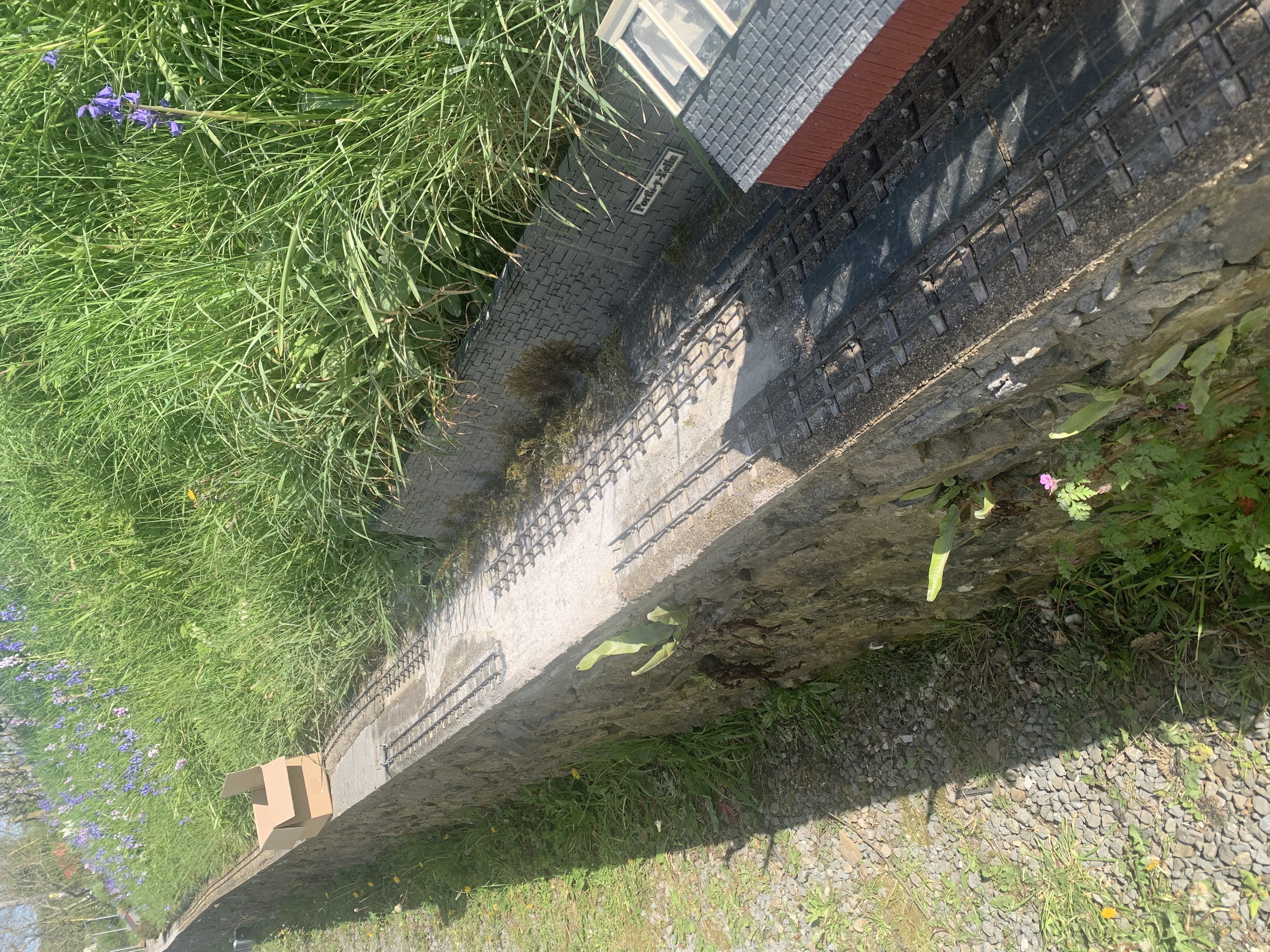 IMG_3841.jpeg
