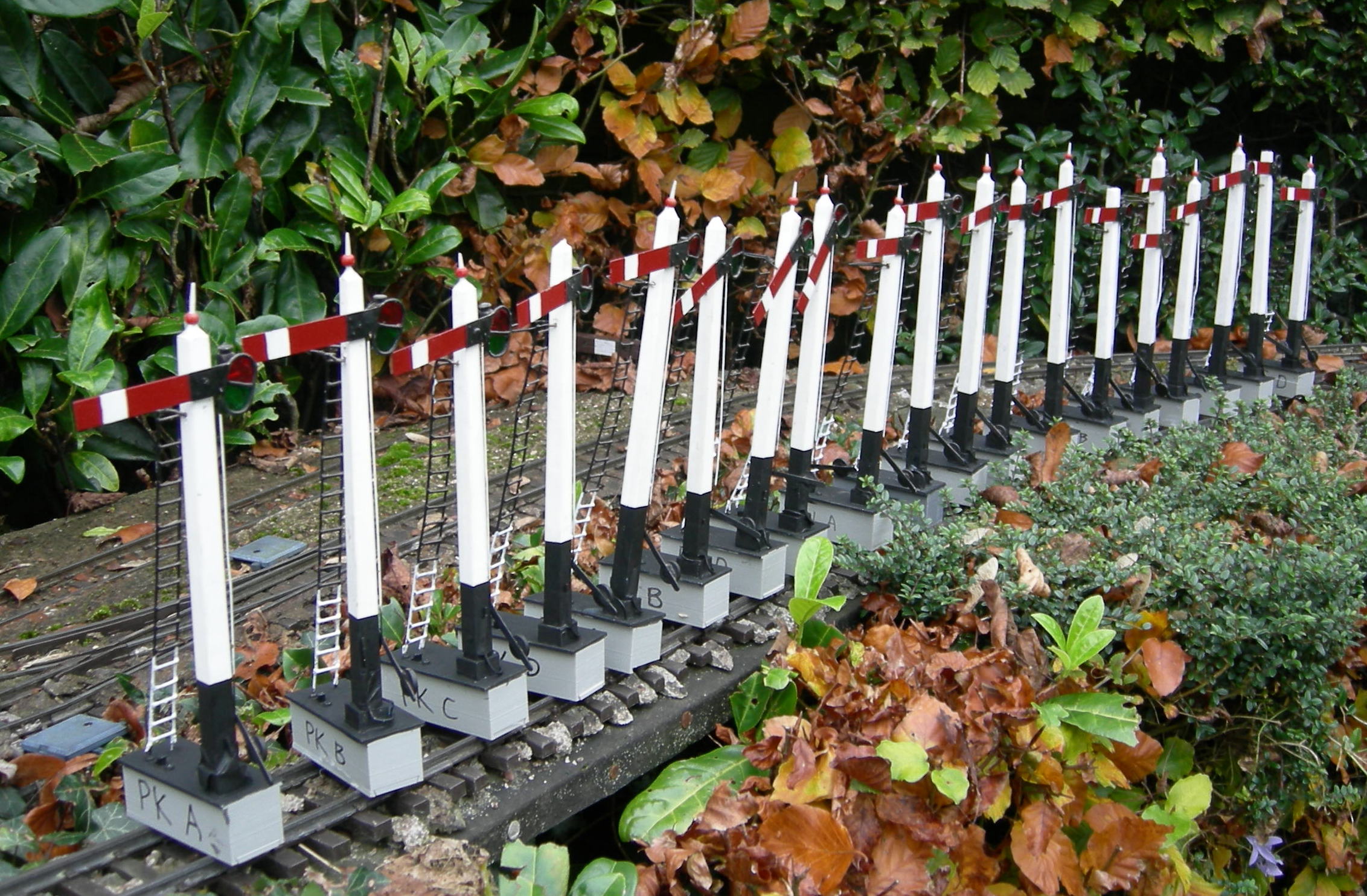 DSCN3838.JPG