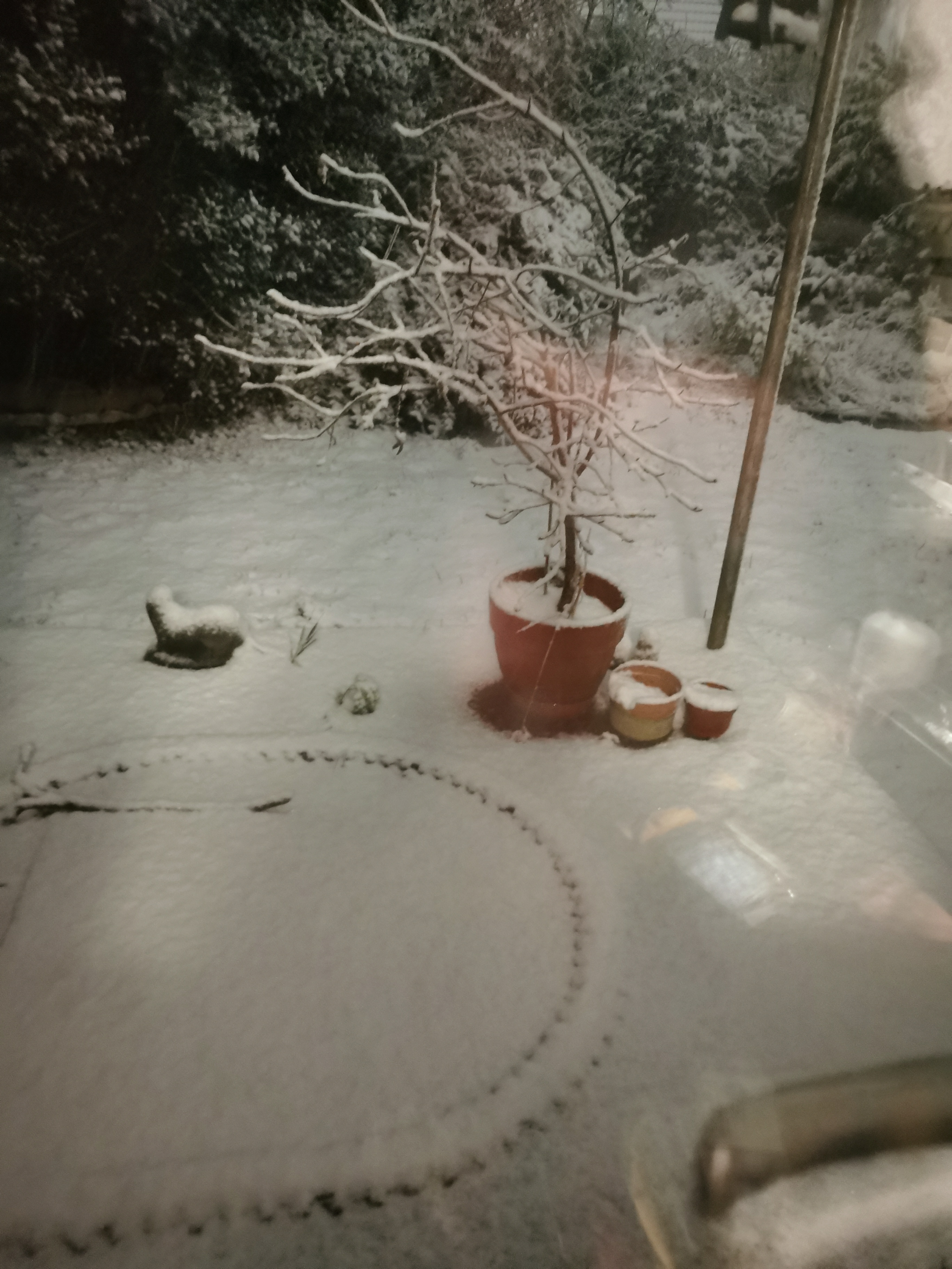 Smothered in Snow