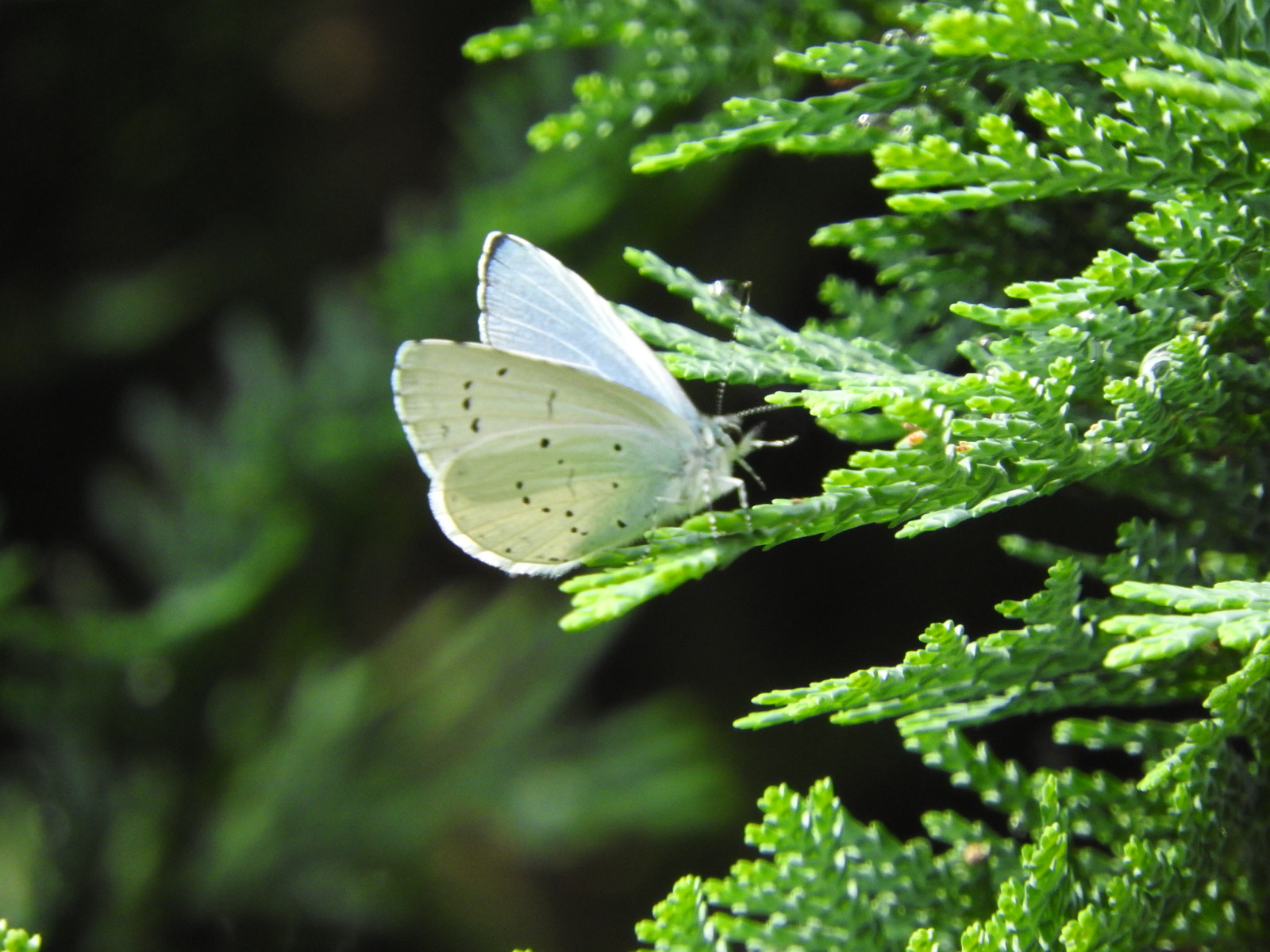 DSCN4091.JPG