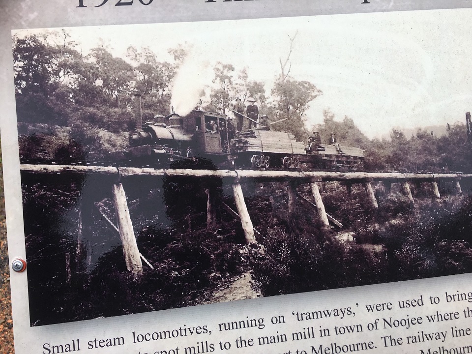 Baldwin Noojee.jpg
