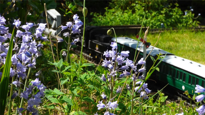 idyll_coaches_2.jpg