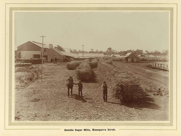 Whole stick wagons Qunaba Mills.jpg