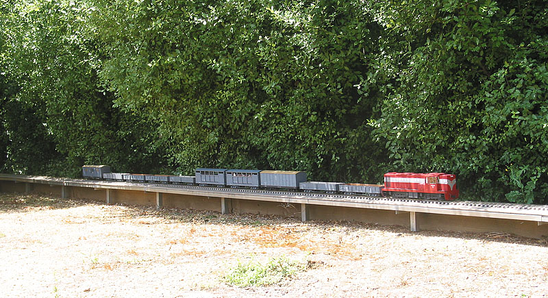 Ninth Run-3.jpg