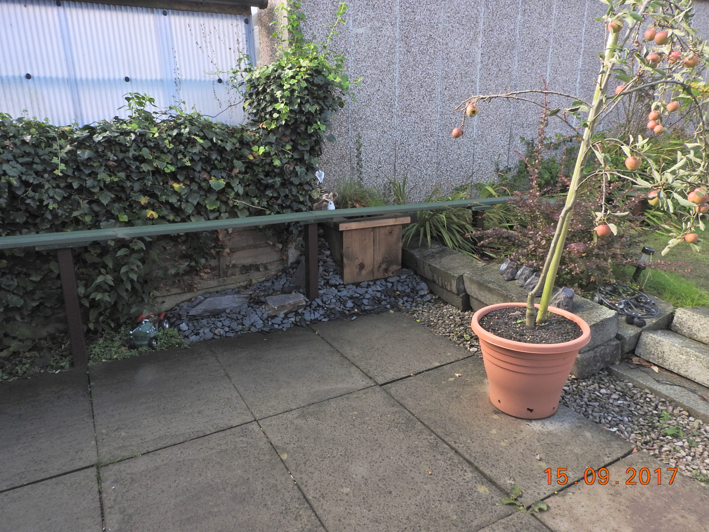 DSCN2980.JPG