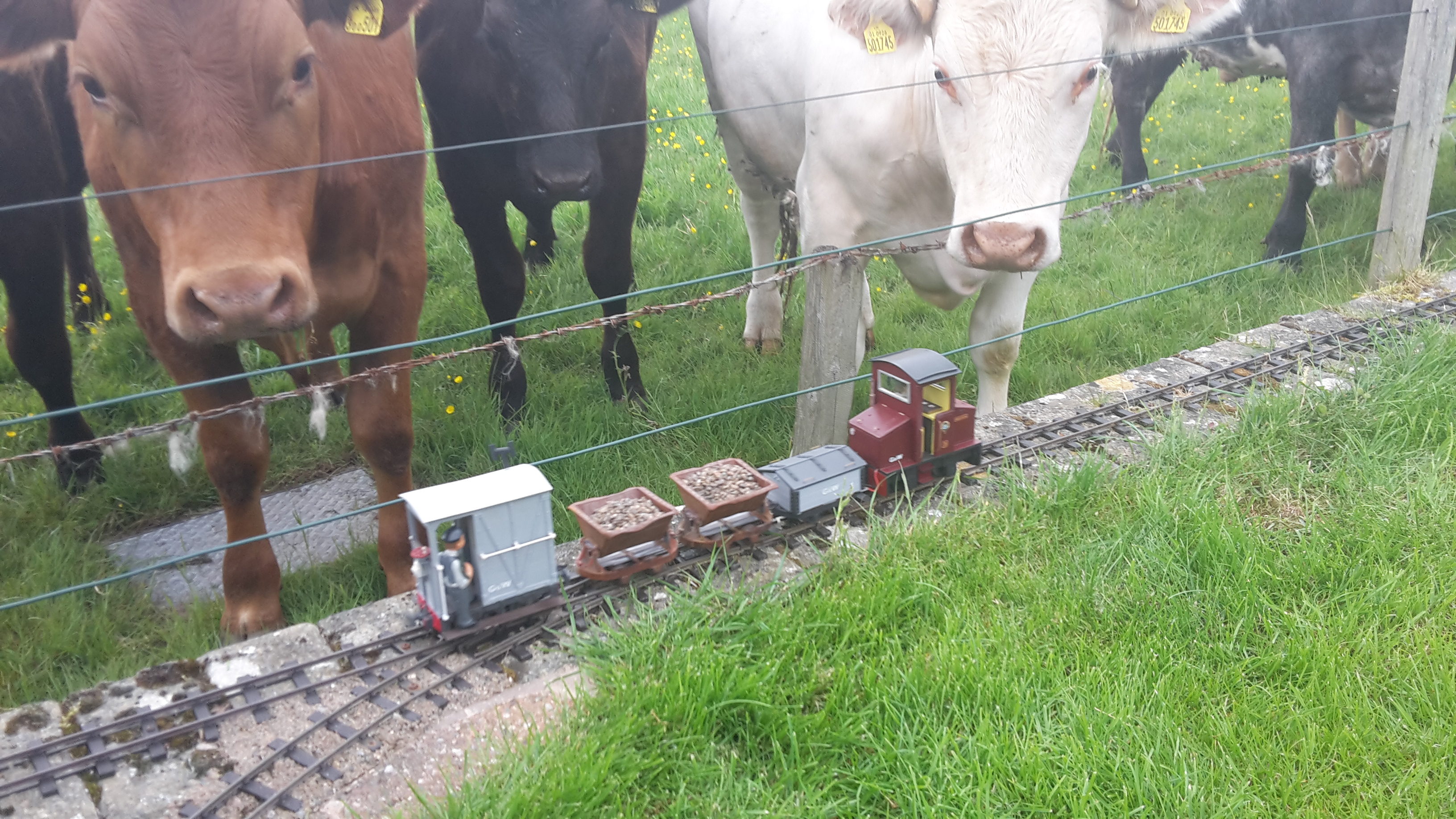 2016-05-29 15.48.33.jpg