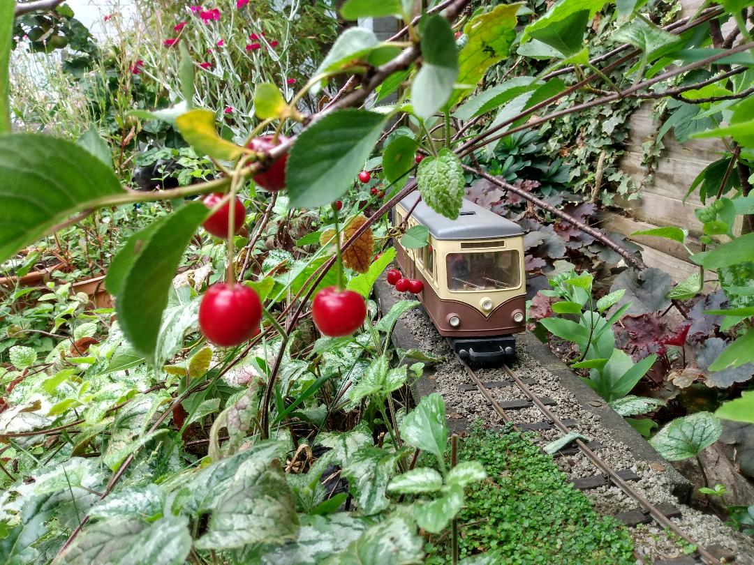 Railcar 3.jpg