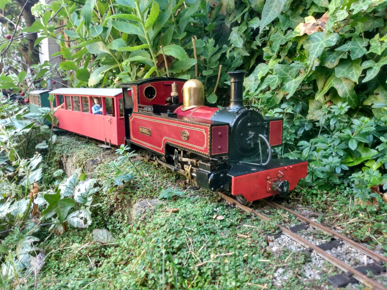 WHR 100 C.jpg