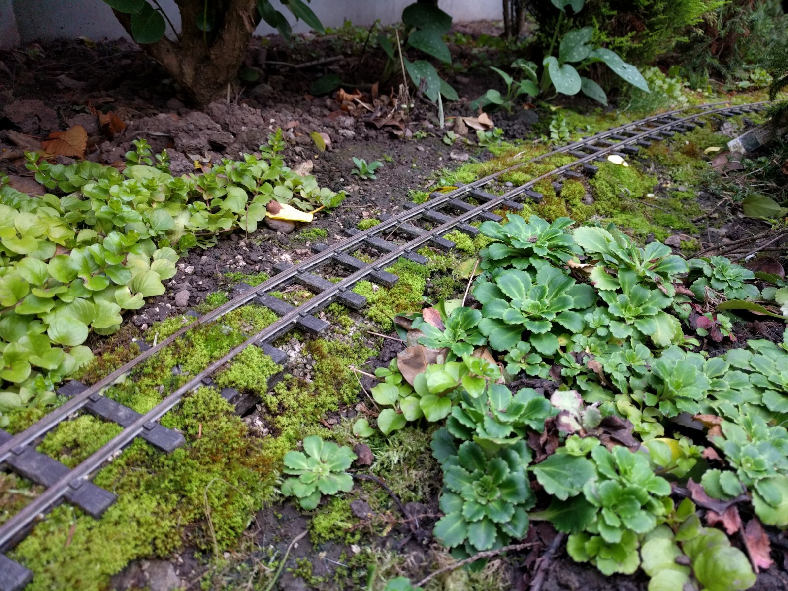 Today - Concrete track base showing track separation