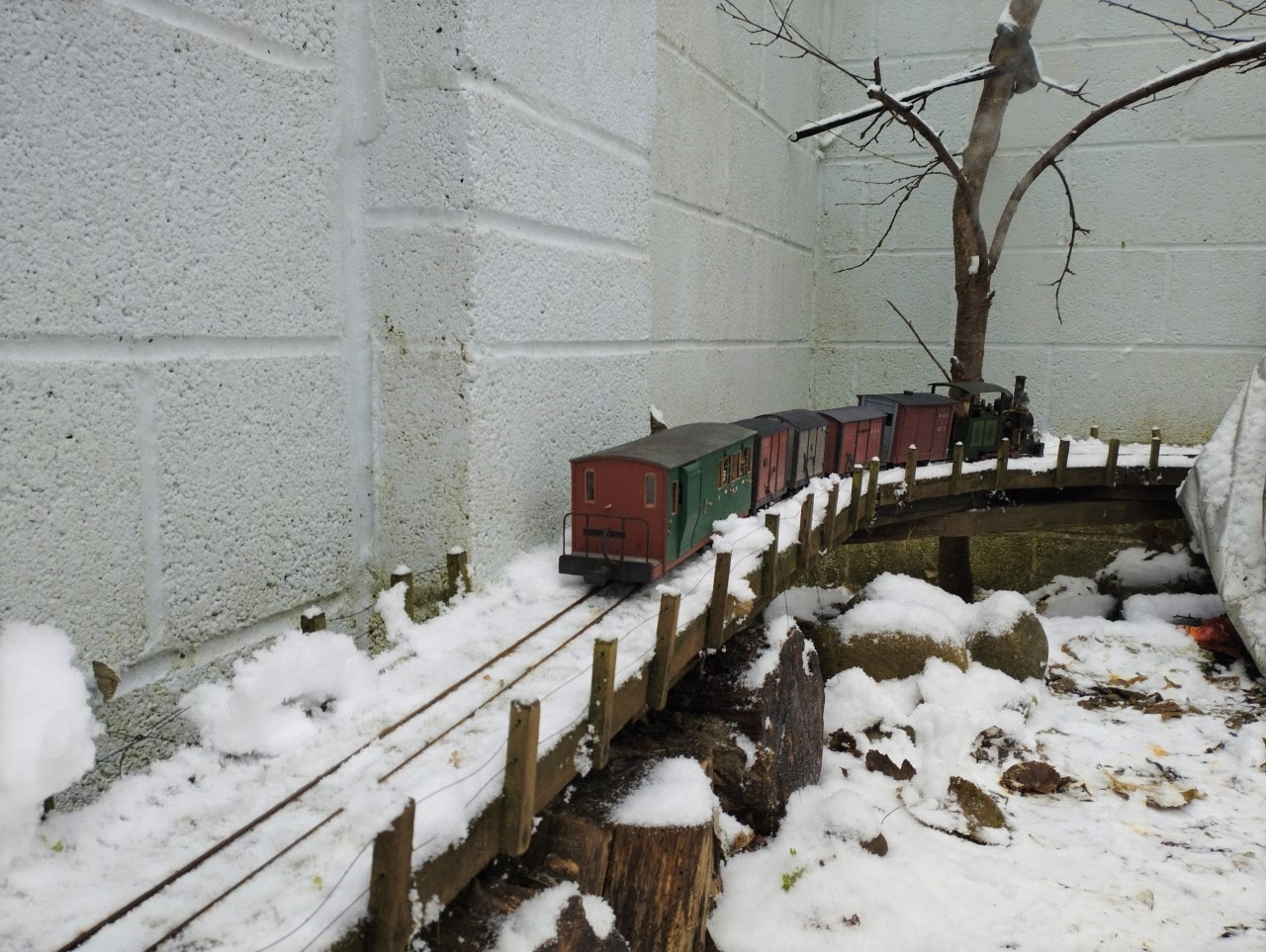 Snow train 2.jpg