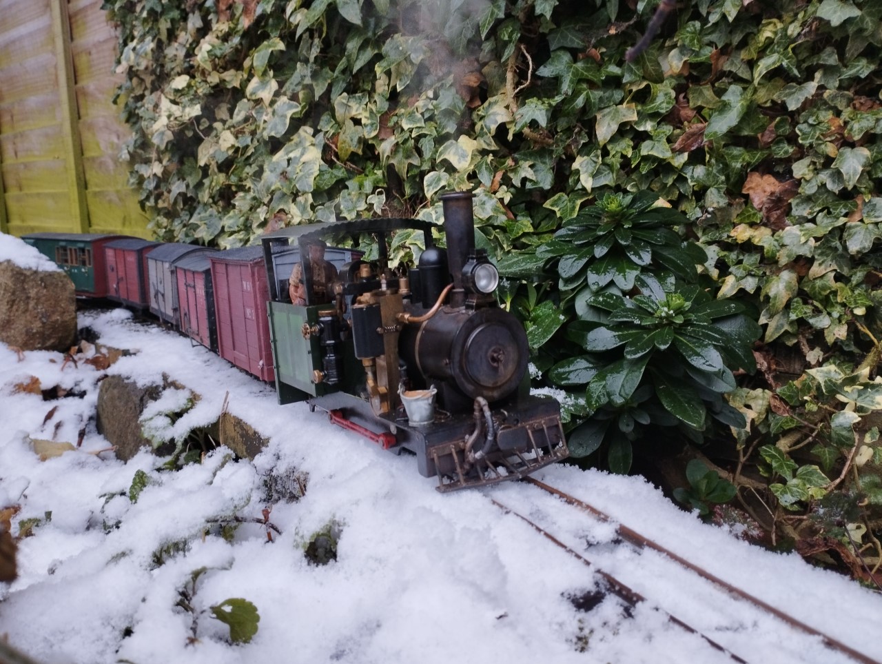 Snow train 3.jpg