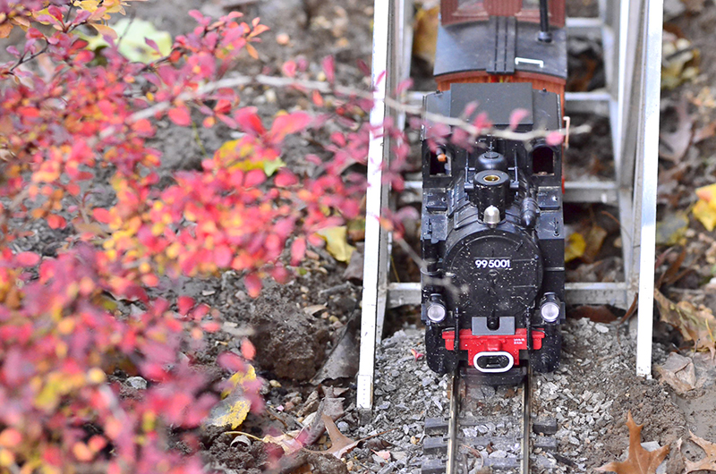 train_Fall2.jpg