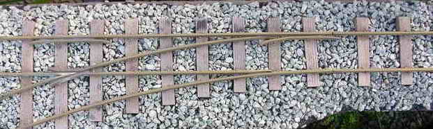 IMG_0622.jpeg