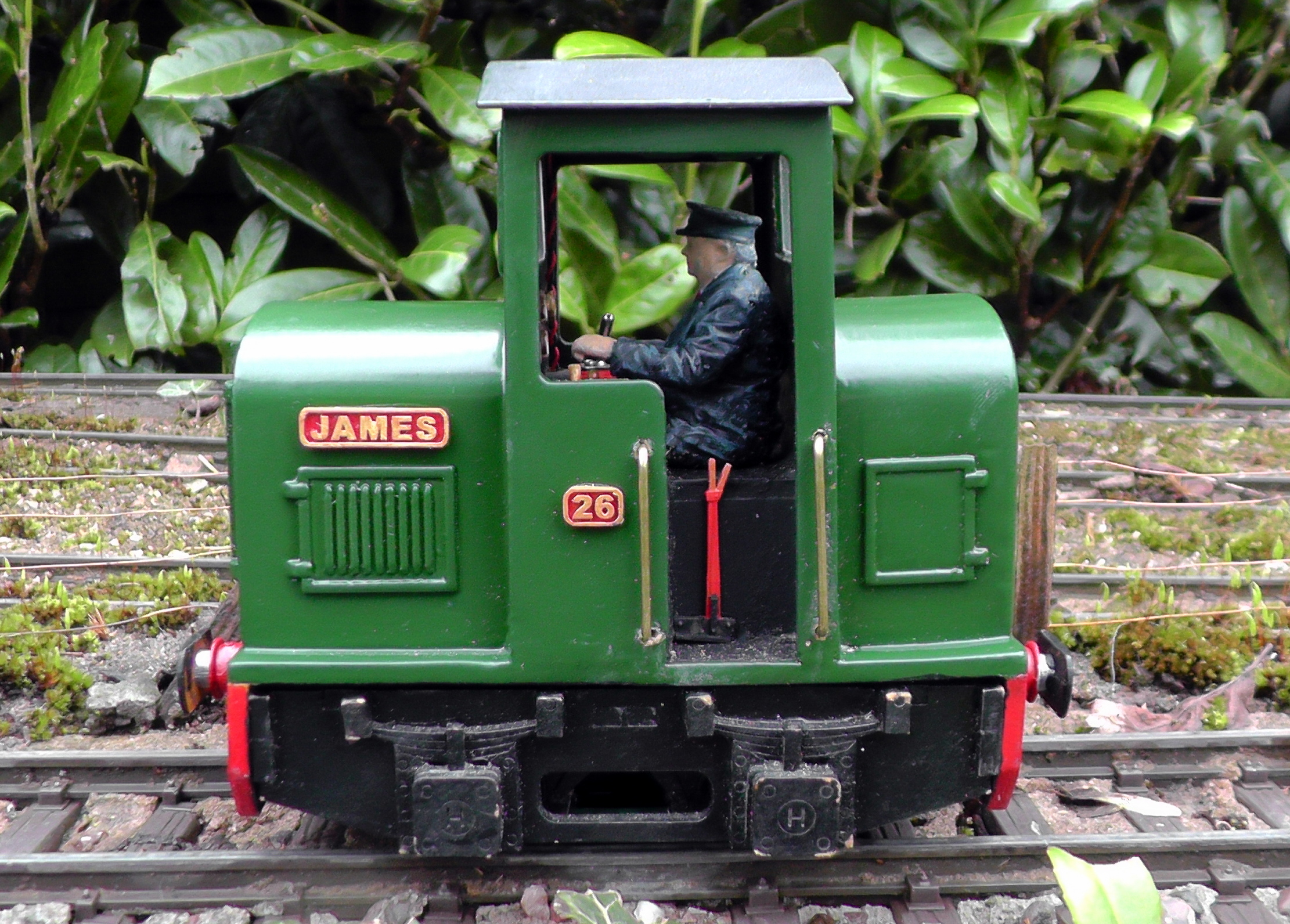 S1880007.JPG