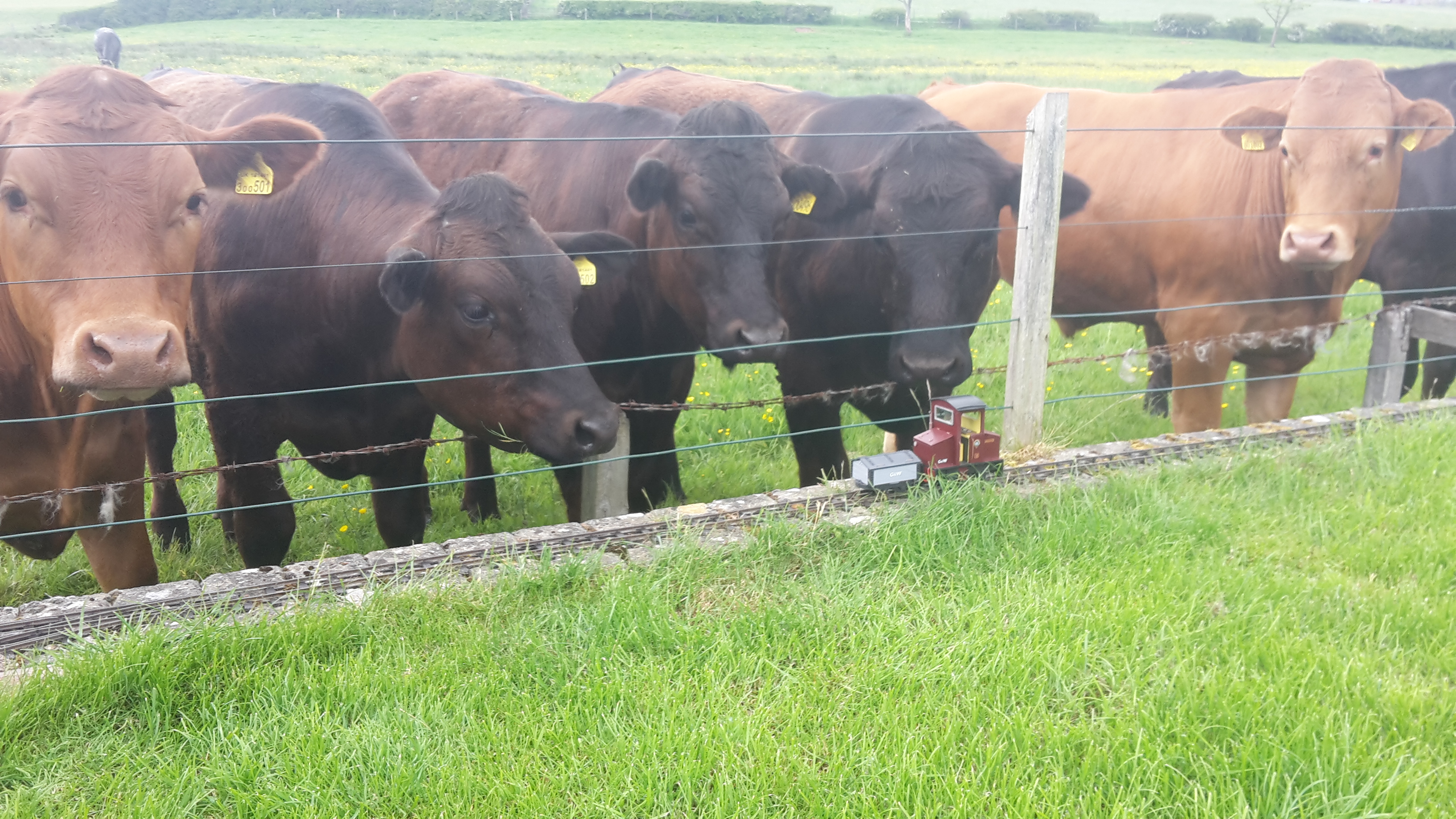 2016-05-29 15.41.26.jpg