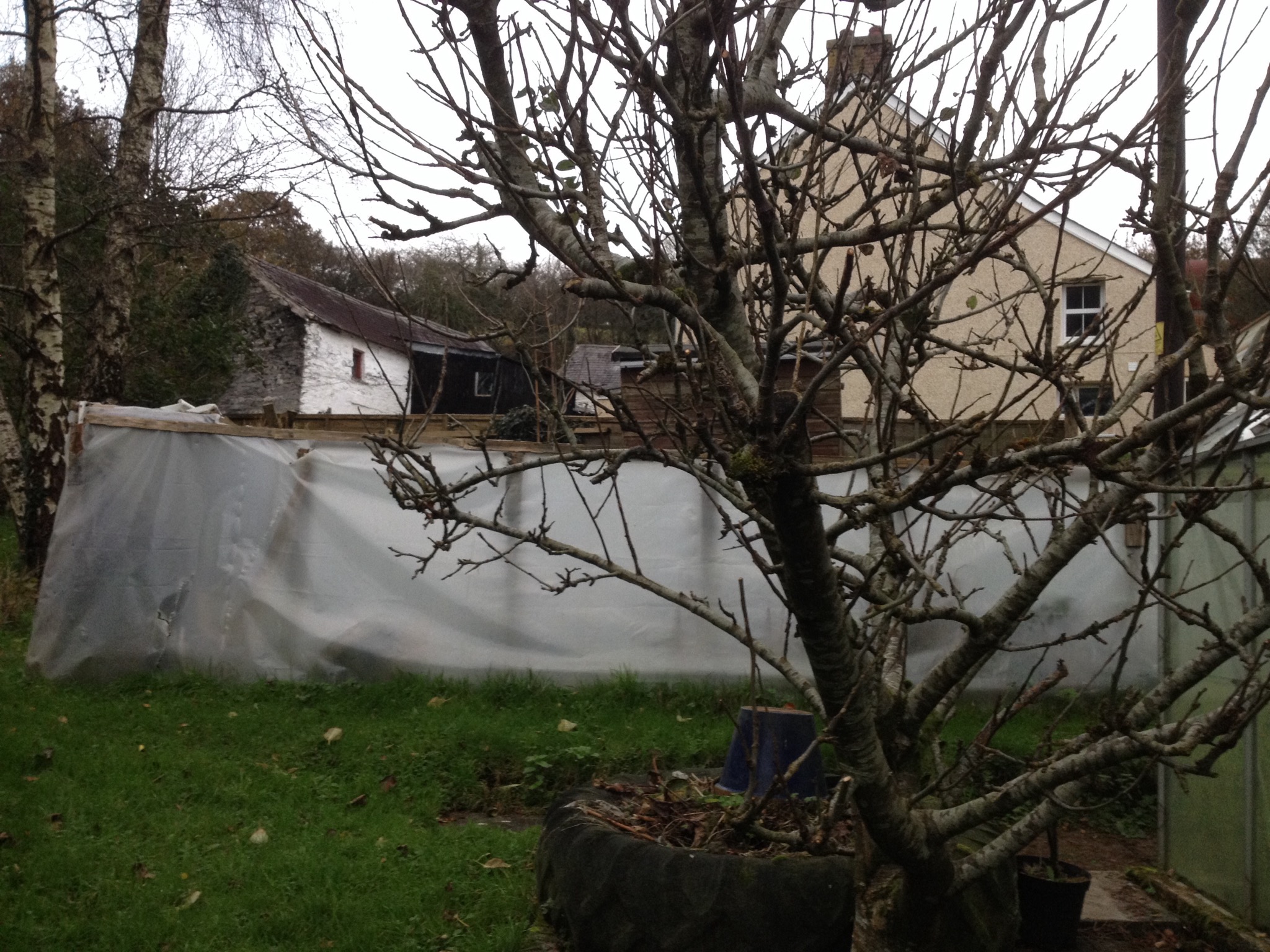 Trees to come down and a lot of clearing