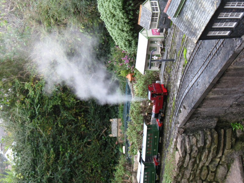 Southern Steam Shunting 800-600.jpg