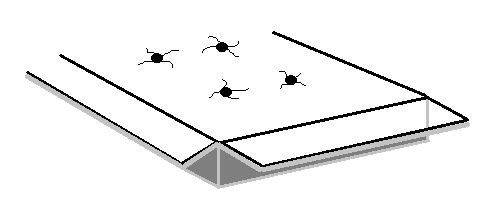 Buttoned Cushion.jpg