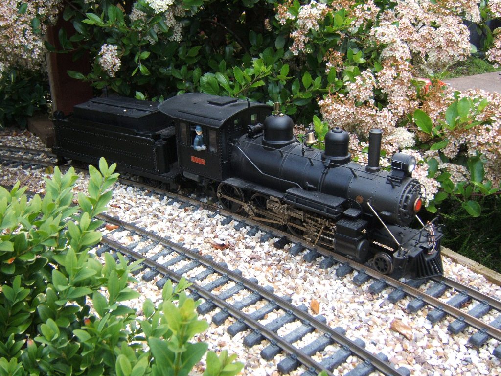 DSCF2620.JPG