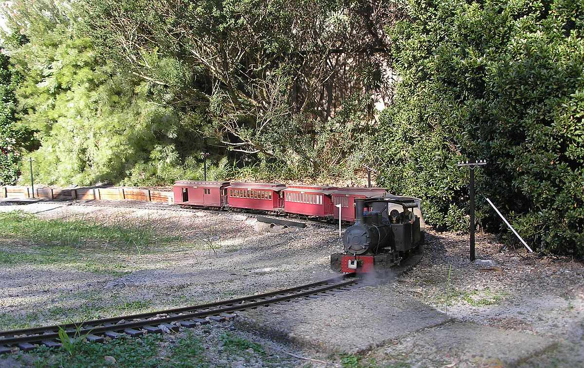 Steaming Today  3.JPG