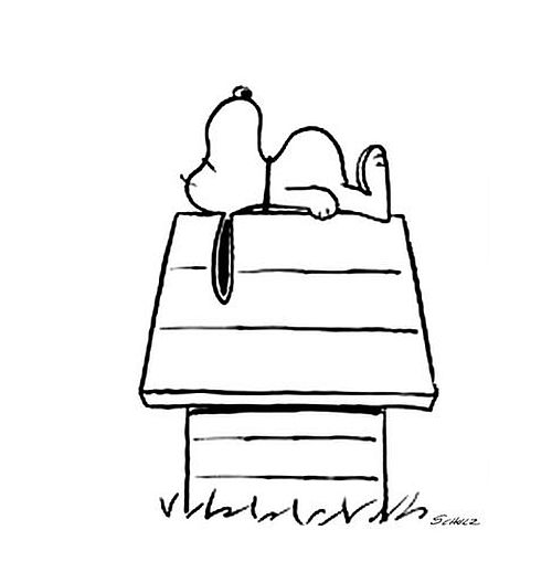 Snoopy 1.jpg