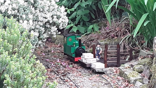 20180608_181537.jpg