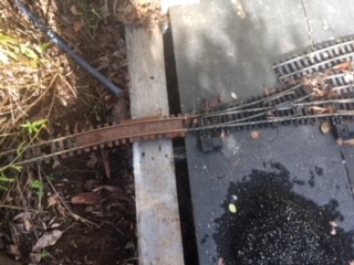 yard 3.jpg