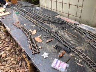 yard 2.jpg