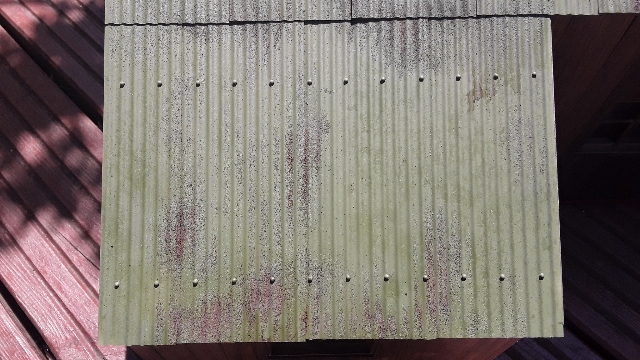 20180707_140742.jpg