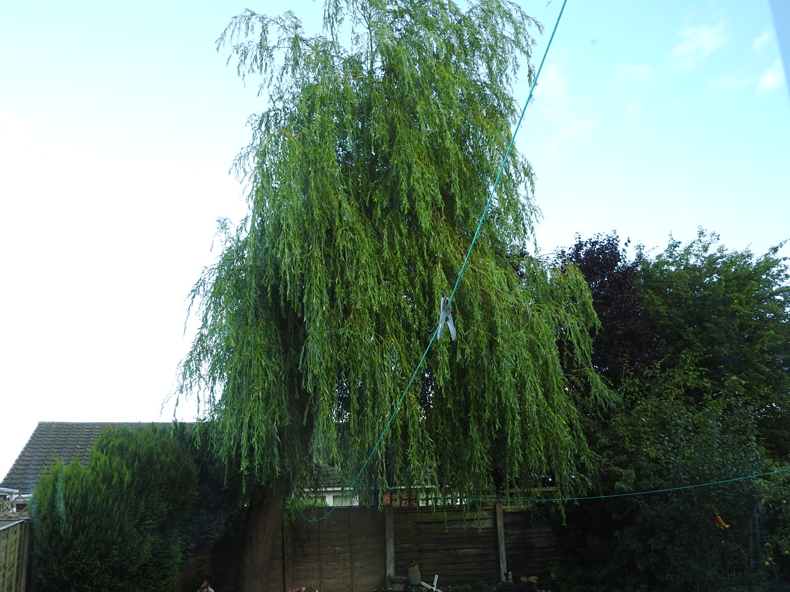 DSCN3604.JPG