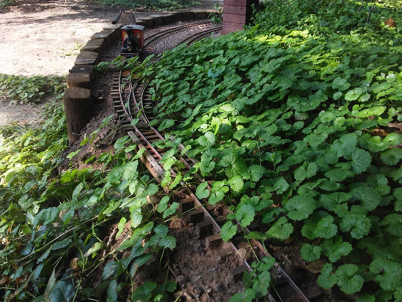 20180811_095516.jpg