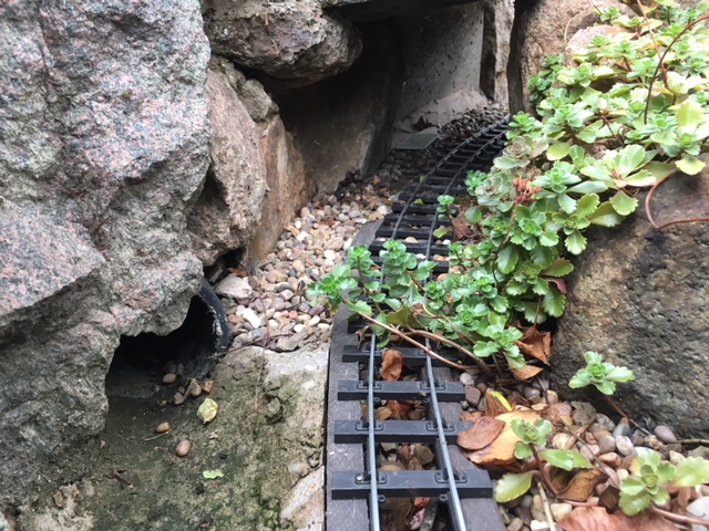 veg nth of tunnel.JPG