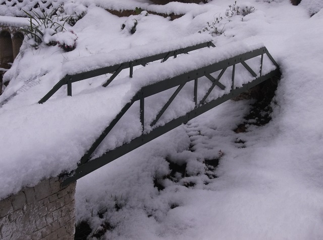 grf snow1.jpg
