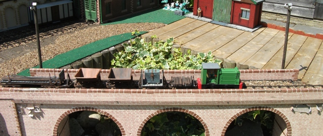 DSCF2165.jpg