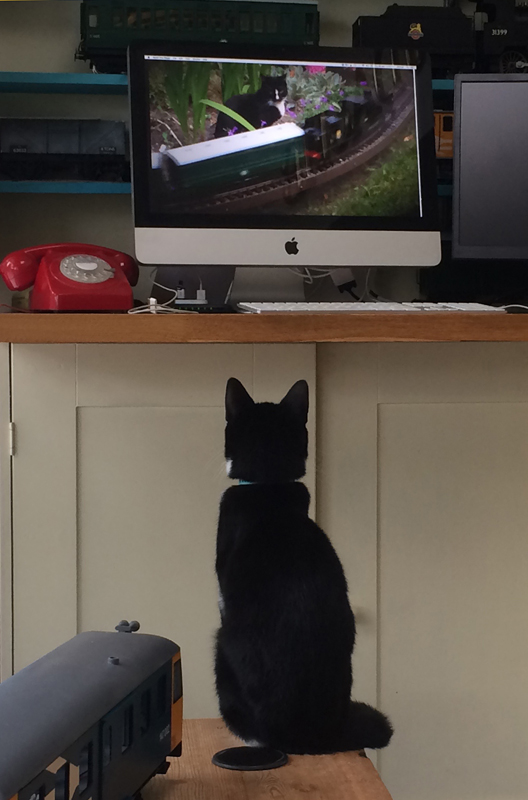 She’s only a young cat, so has grown up with digital technology