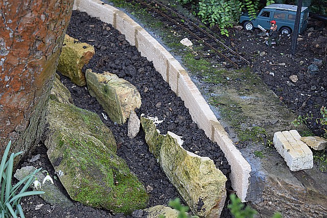 DSC_0003.JPG