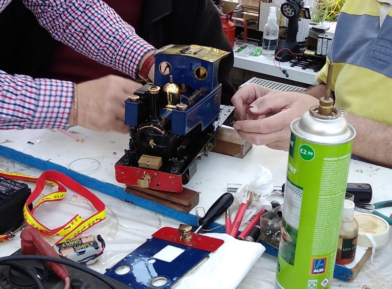 Merlin in safe hands