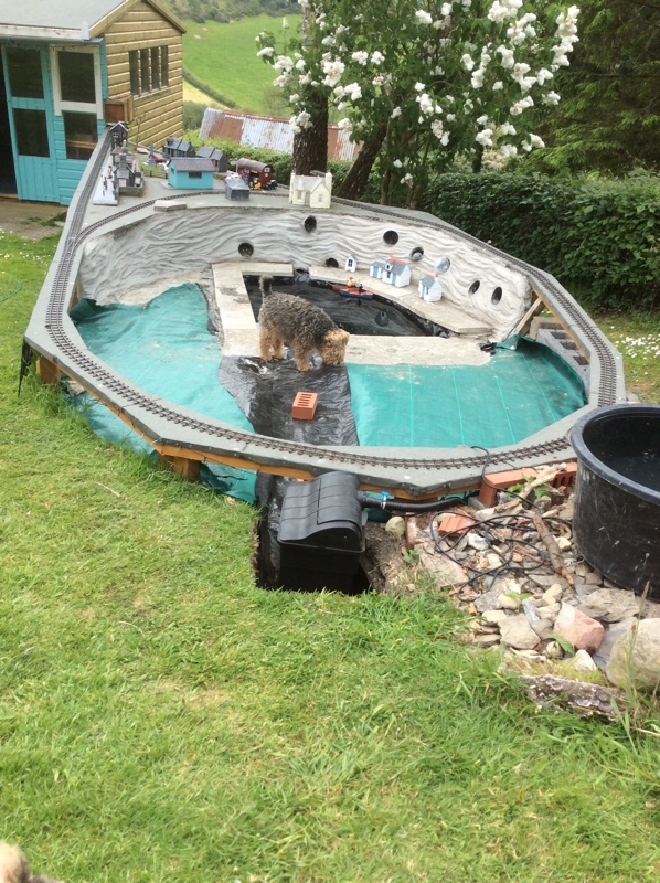 Next to do is the stream along the black liner