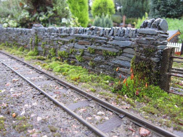 IMG_6664.JPG