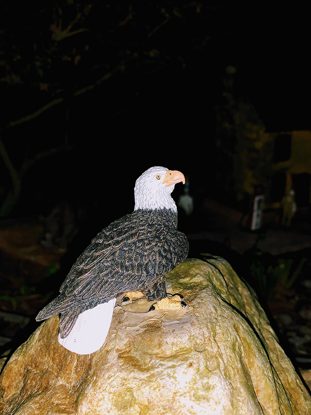 Haruka garden_spring_2020_1.jpg