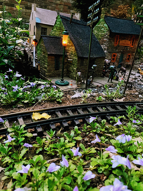 Haruka garden_spring_2020.jpg