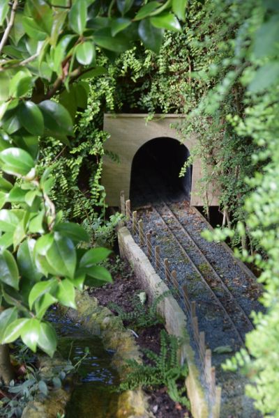 DSC_0003[ small.jpg