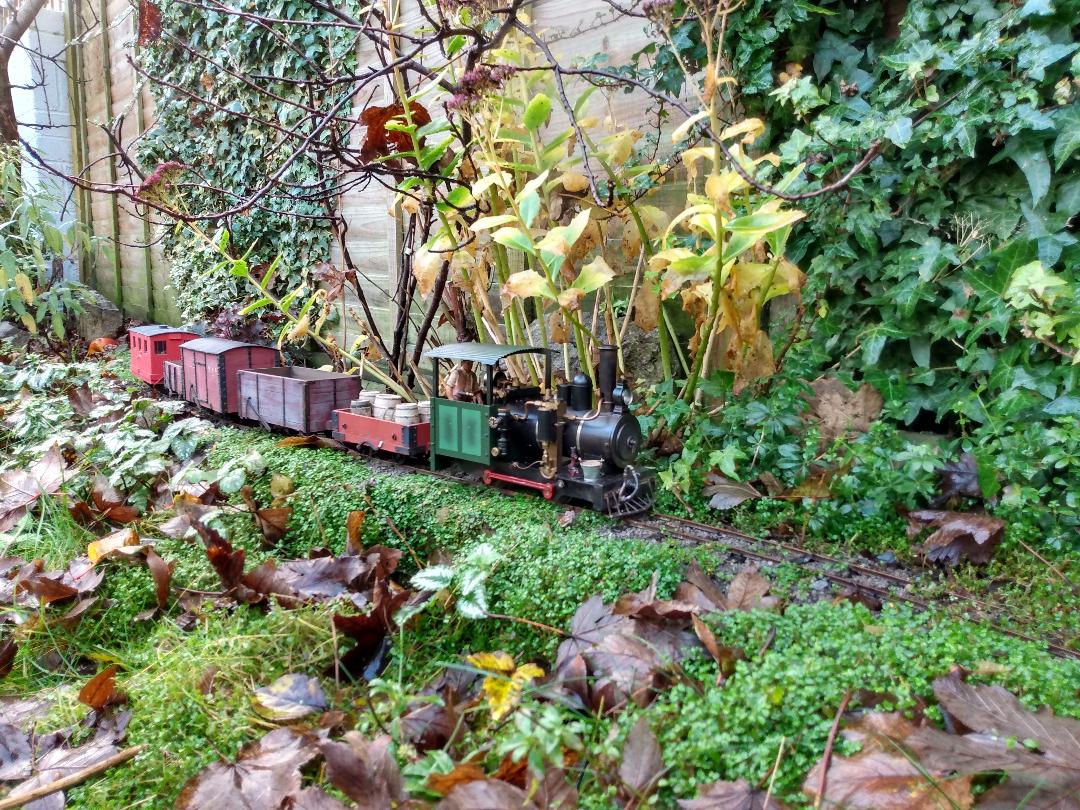 Autumn goods 5.jpg