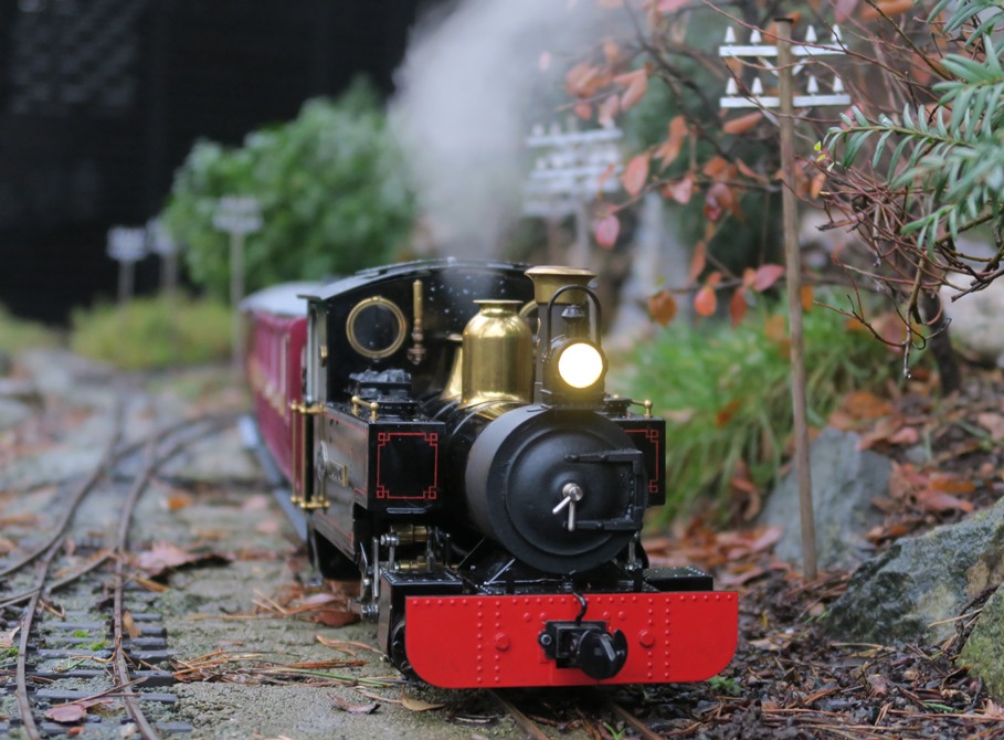 GRF Autumn 2020 900.JPG