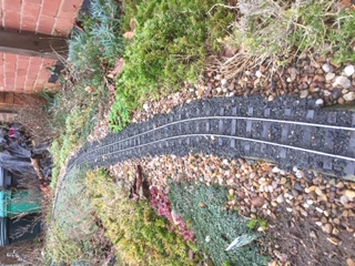 2021 track misalignment6.JPG