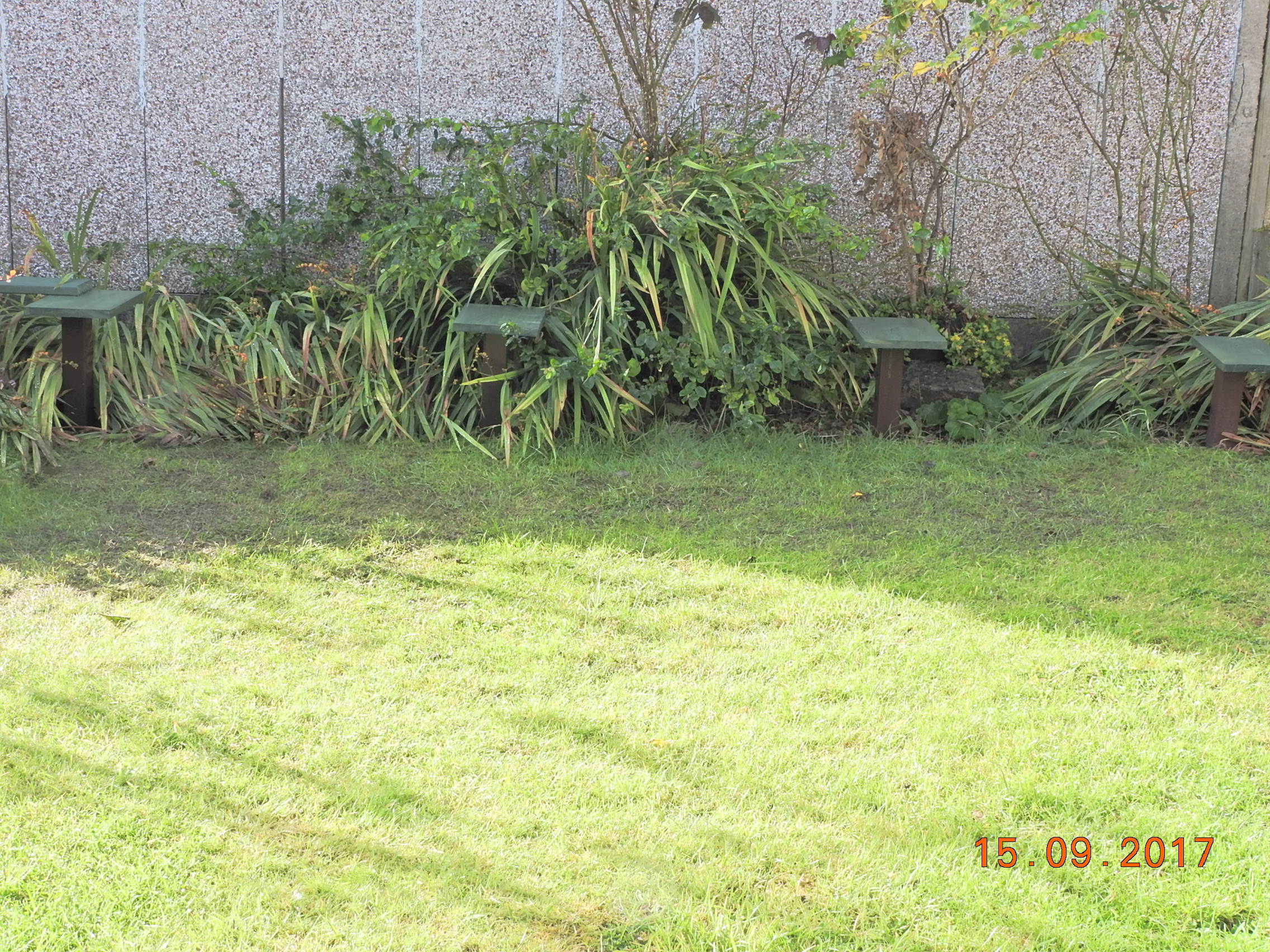 DSCN2983.JPG
